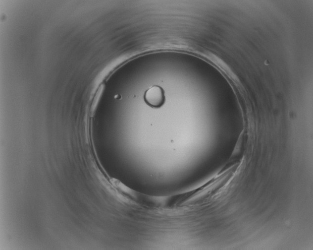 X0000077361246200611031838