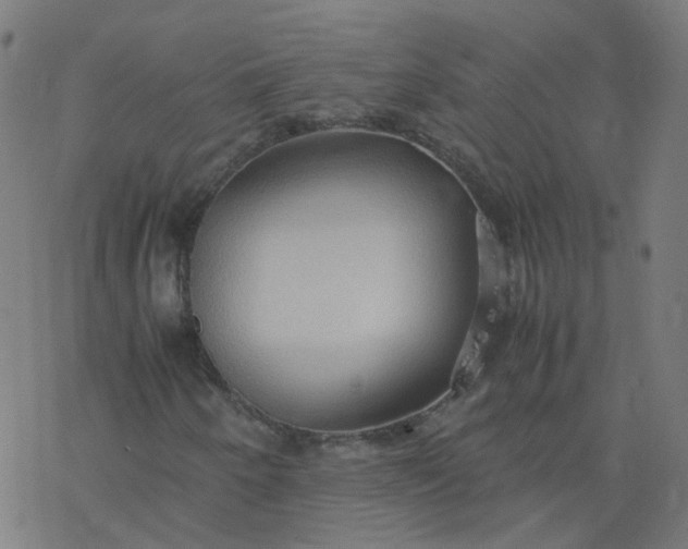 X0000077361250200611031837