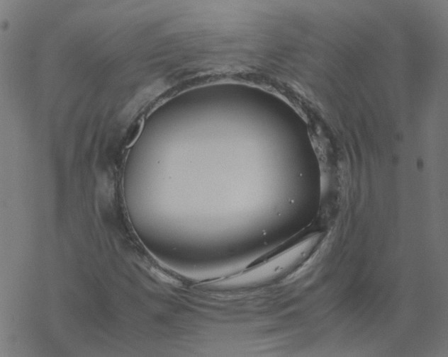 X0000077361257200611031837