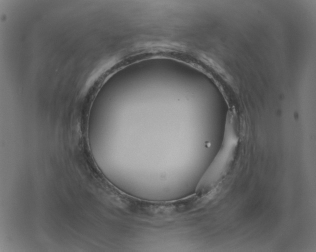 X0000077361261200611031837