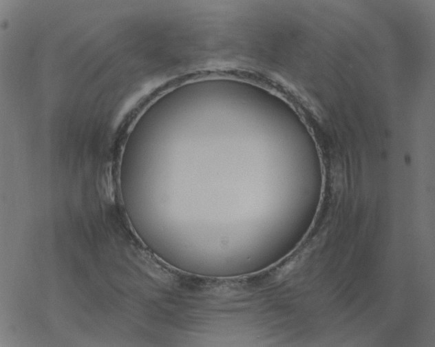 X0000077361262200611031837