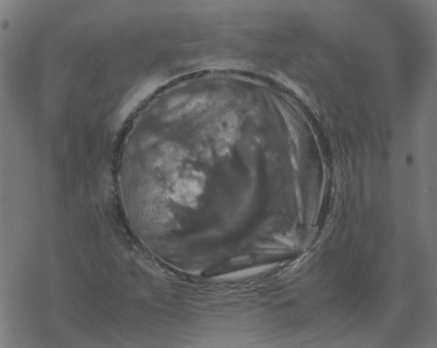 X0000077361263200611031837