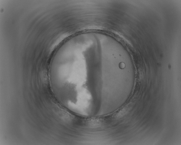 X0000077361266200611031837