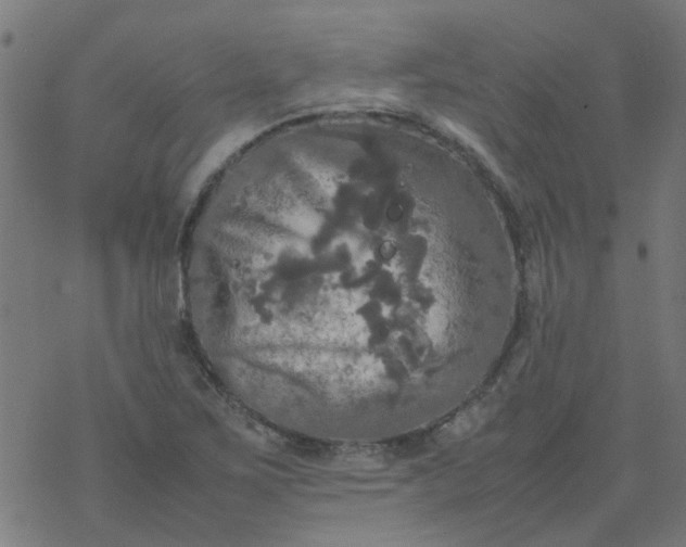 X0000077361267200611031837