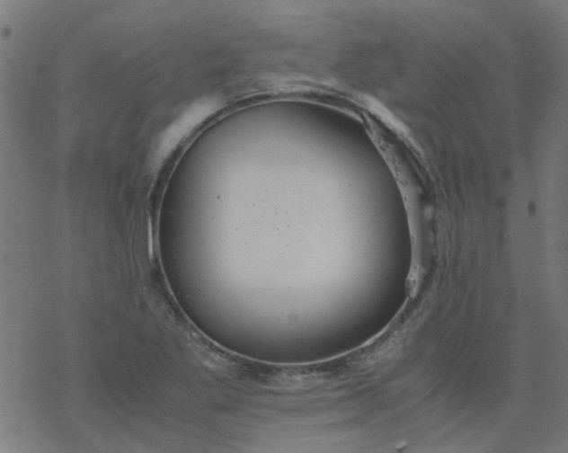 X0000077361269200611031837