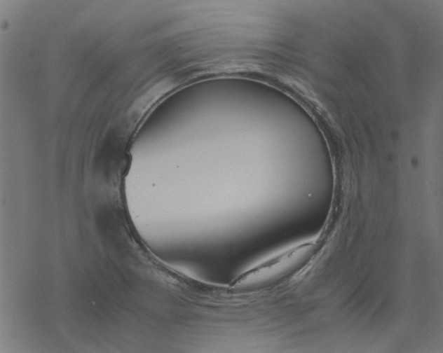 X0000077361273200611031837