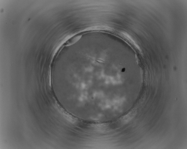 X0000077361276200611031837