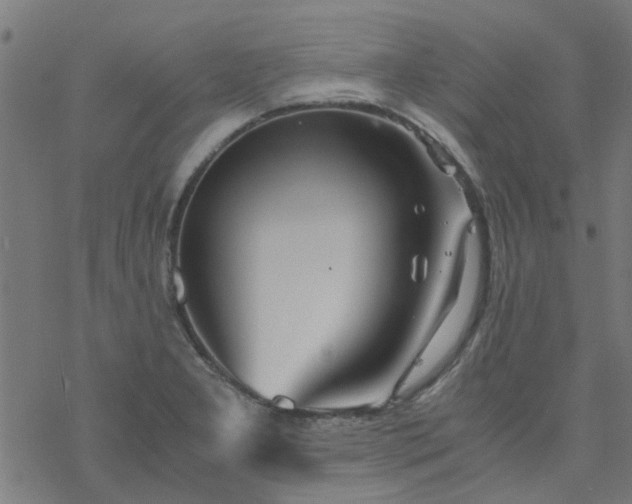 X0000077361277200611031837