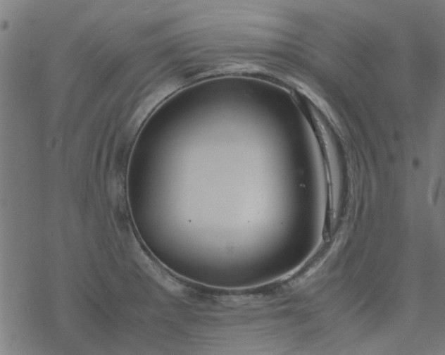 X0000077361281200611031837