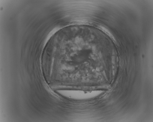 X0000077361283200611031837