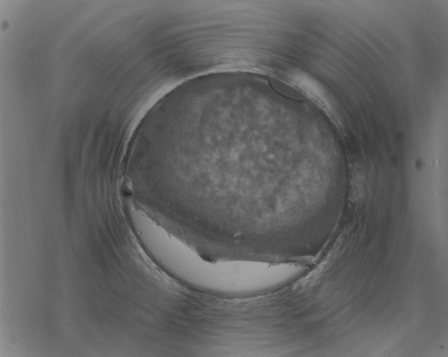 X0000077361284200611031837