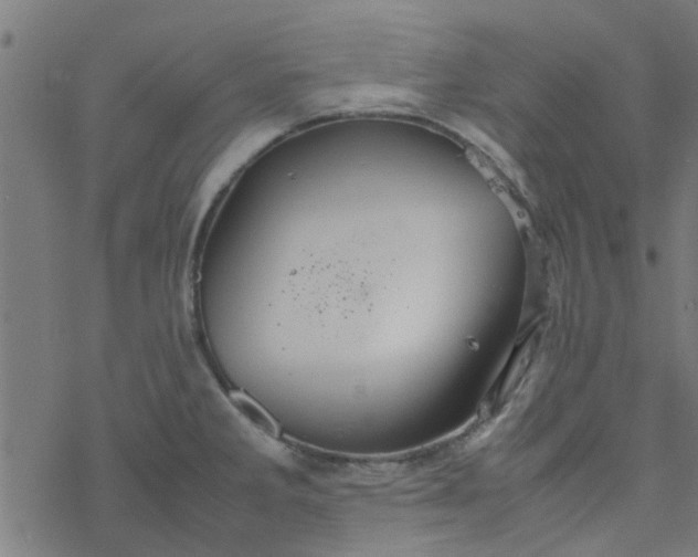 X0000077361285200611031837