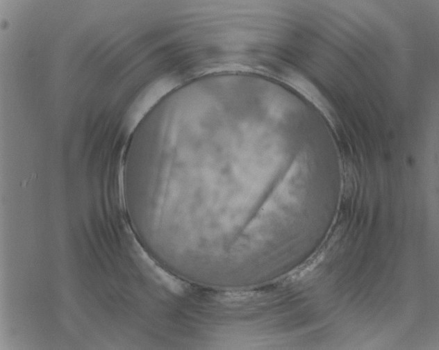 X0000077361290200611031837