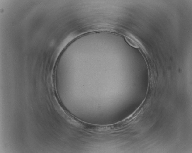 X0000077361291200611031837