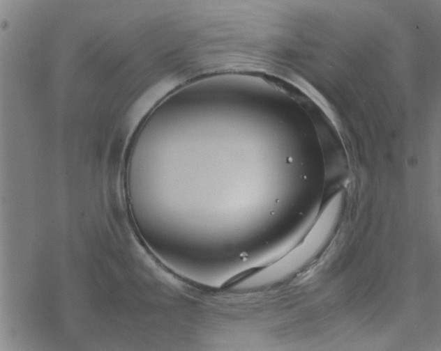 X0000077361293200611031837