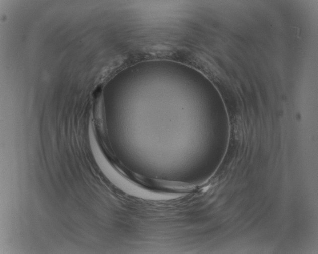 X0000077361298200611031836