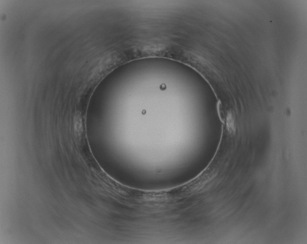 X0000077361299200611031836