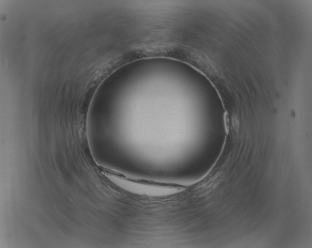 X0000077361300200611031836