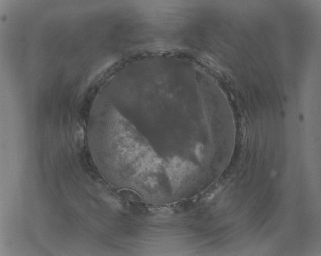 X0000077361302200611031836