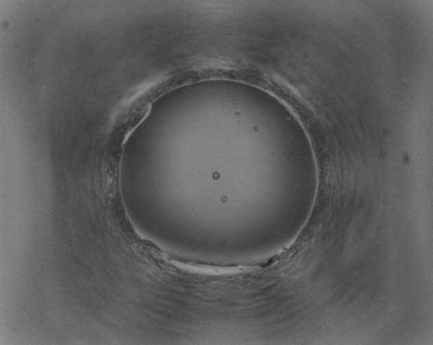 X0000077361303200611031836