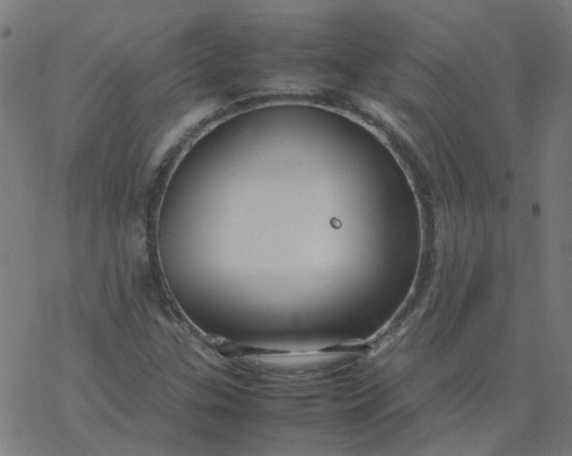 X0000077361307200611031836