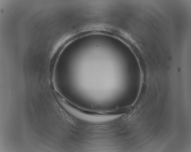 X0000077361312200611031836