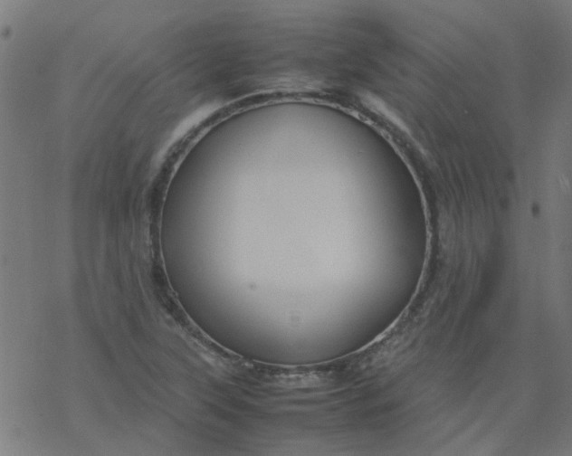 X0000077361315200611031836