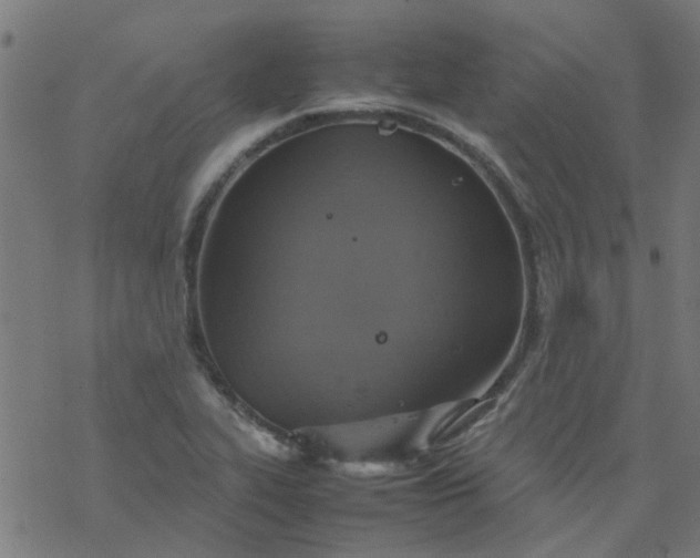 X0000077361319200611031836