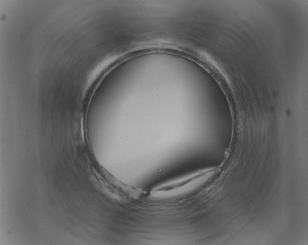 X0000077361320200611031836