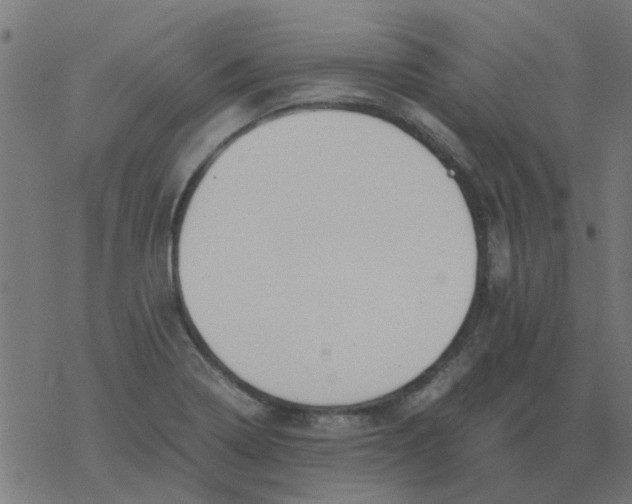 X0000077361322200611031836