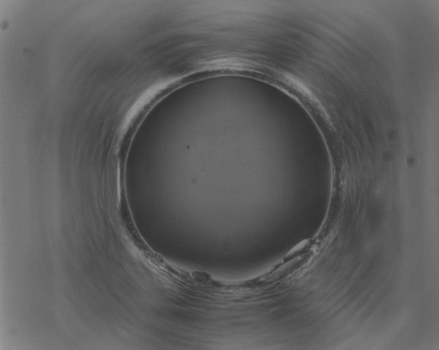 X0000077361323200611031836