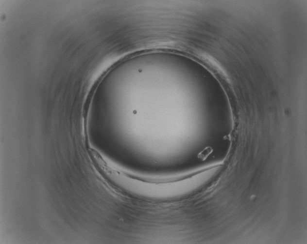 X0000077361324200611031836