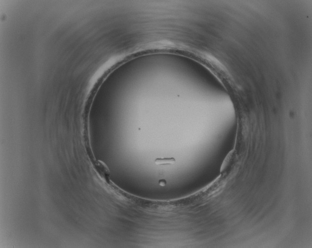 X0000077361326200611031836