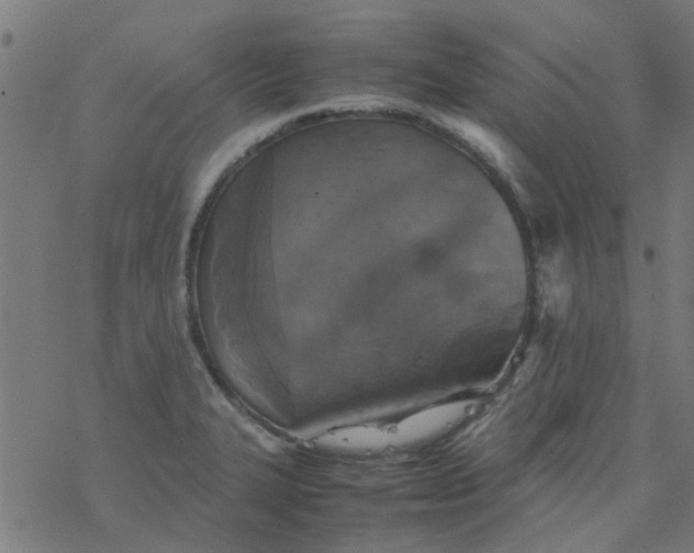 X0000077361327200611031836