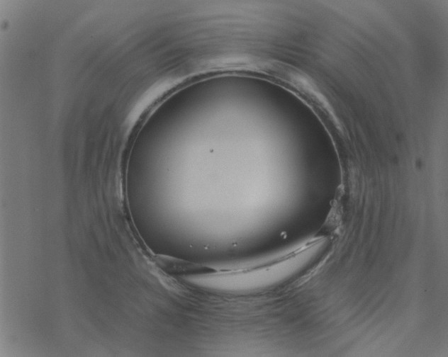 X0000077361328200611031836