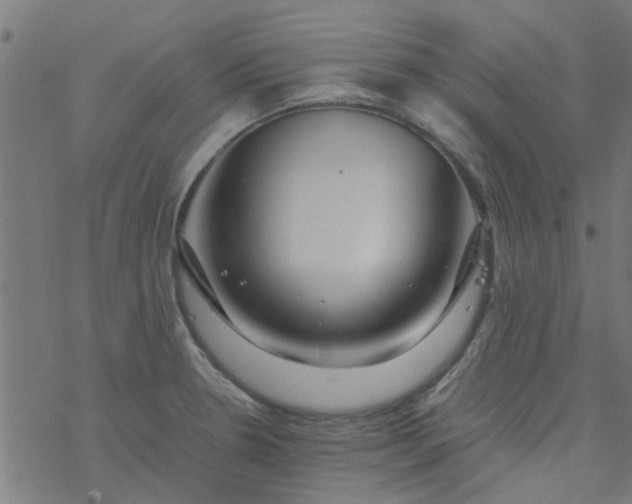 X0000077361330200611031836