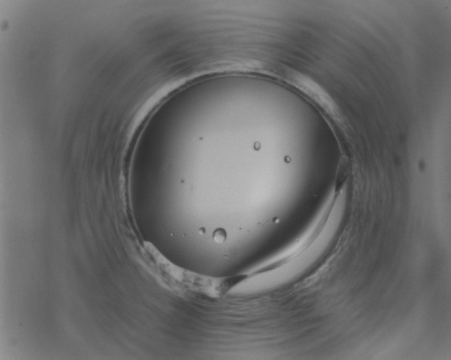 X0000077361332200611031836