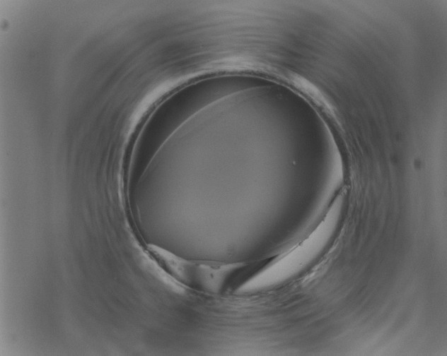 X0000077361334200611031836