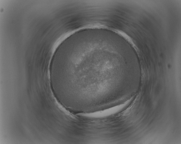 X0000077361335200611031836