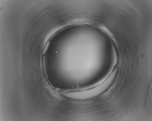 X0000077361336200611031836