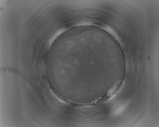 X0000077361337200611031836