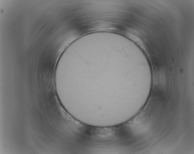 X0000077361338200611031837