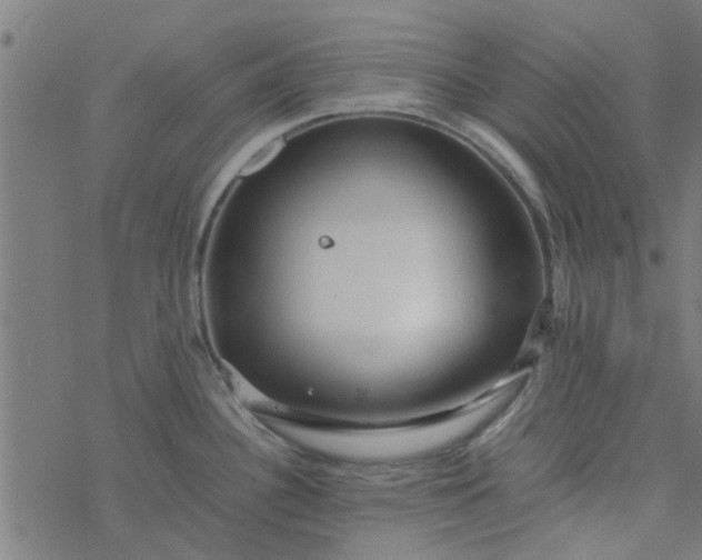 X0000077361340200611031837