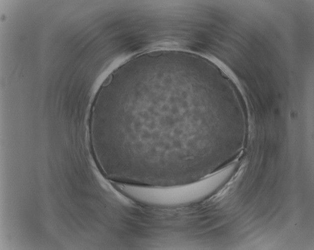 X0000077361341200611031837