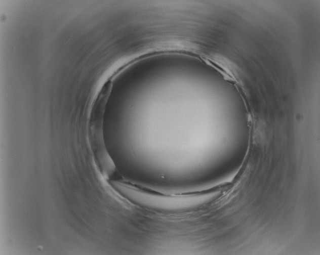 X0000077361342200611031837