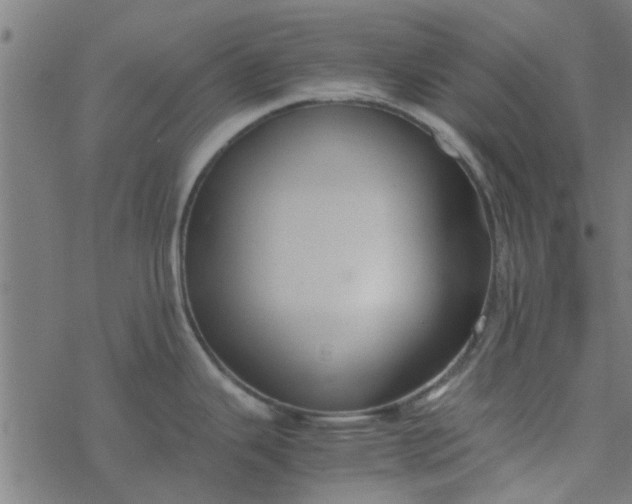 X0000077361343200611031837