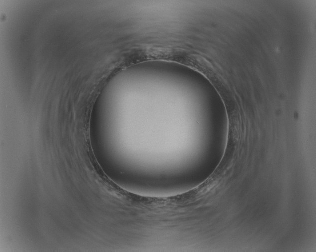 X0000077361345200611031836