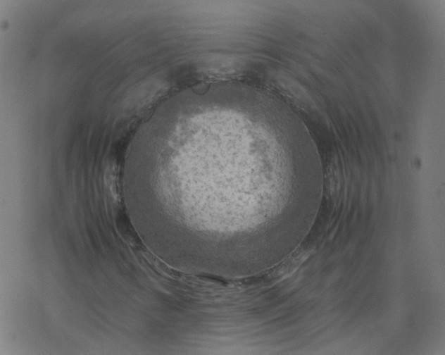 X0000077361346200611031836