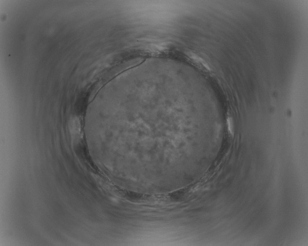 X0000077361347200611031836