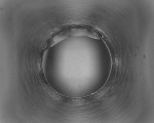 X0000077361348200611031836